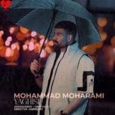 دانلود آهنگ یاغیش از محمد محرمی خواننده محبوب از یسنا موزیک