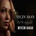 Aycin Asan Sev Yeter