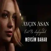Aycin Asan Sev Yeter