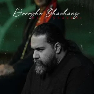 آهنگ دروغ قشنگ از رضا صادقی 1 photo 2025 09 06 18 02 48 Musics 11zon