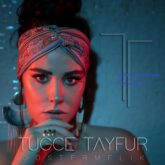 دانلود آهنگ حوضورم کالمادی فانی دنیادا از توغچه تایفور