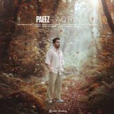 آهنگ پاییز از آدرین