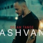 آهنگ دلم تنگه از اشوان