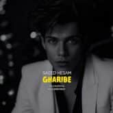 دانلود آهنگ غریبه از سعید حسام